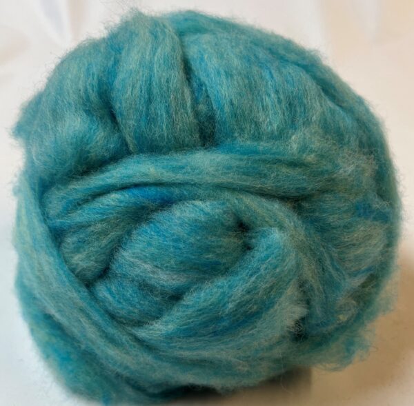 Lakeshore Roving scaled